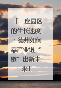 一座园区的生长速度：德州如何靠产业链“链”出新未来