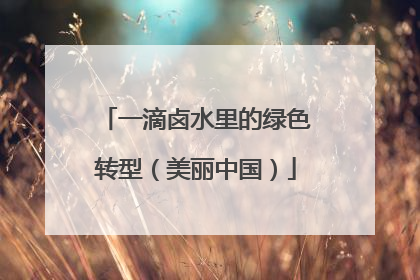 一滴卤水里的绿色转型（美丽中国）
