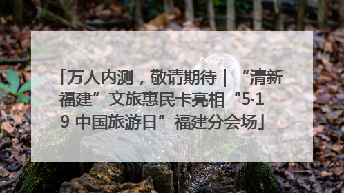 万人内测，敬请期待｜“清新福建”文旅惠民卡亮相“5·19 中国旅游日”福建分会场