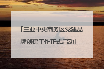 三亚中央商务区党建品牌创建工作正式启动