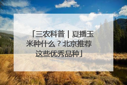 三农科普｜夏播玉米种什么？北京推荐这些优秀品种