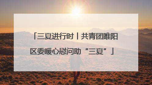 三夏进行时丨共青团睢阳区委暖心慰问助“三夏”