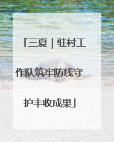 三夏｜驻村工作队筑牢防线守护丰收成果