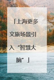 上海更多文旅场景引入“智慧大脑”