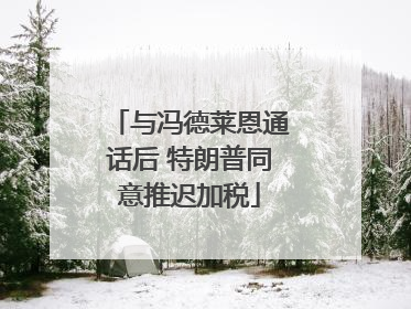 与冯德莱恩通话后 特朗普同意推迟加税
