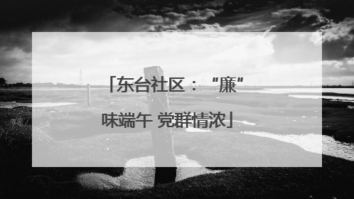 东台社区：“廉”味端午 党群情浓