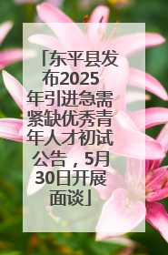 东平县发布2025年引进急需紧缺优秀青年人才初试公告，5月30日开展面谈