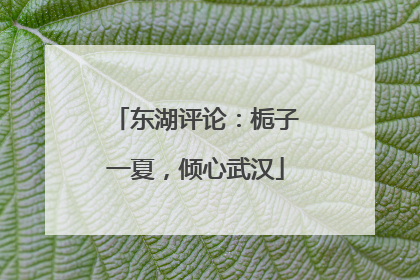 东湖评论：栀子一夏，倾心武汉