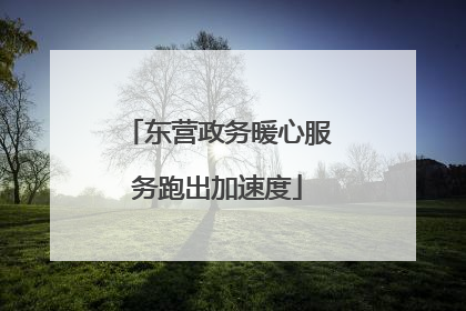东营政务暖心服务跑出加速度