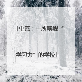 中嘉：一所唤醒“学习力”的学校