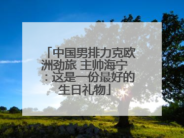 中国男排力克欧洲劲旅 主帅海宁：这是一份最好的生日礼物