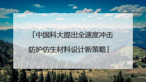 中国科大提出全速度冲击防护仿生材料设计新策略