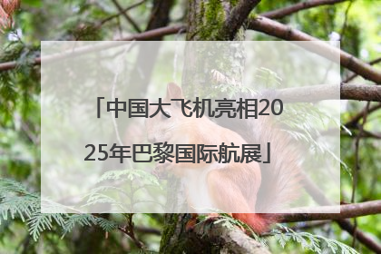 中国大飞机亮相2025年巴黎国际航展