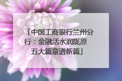 中国工商银行兰州分行：金融活水润陇原 五大篇章谱新篇