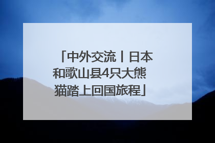 中外交流丨日本和歌山县4只大熊猫踏上回国旅程
