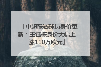 中超联赛球员身价更新：王钰栋身价大幅上涨110万欧元