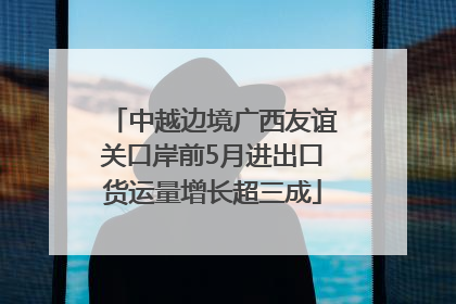 中越边境广西友谊关口岸前5月进出口货运量增长超三成