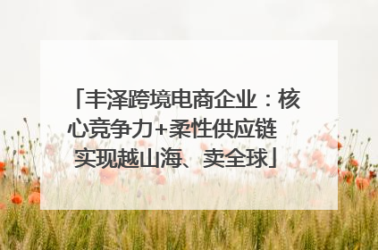 丰泽跨境电商企业：核心竞争力+柔性供应链 实现越山海、卖全球