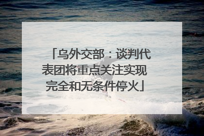 乌外交部：谈判代表团将重点关注实现完全和无条件停火