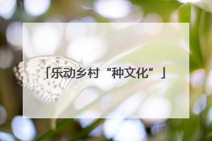 乐动乡村“种文化”