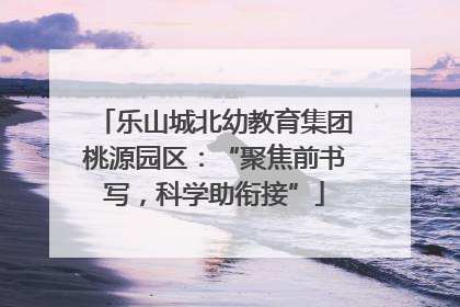 乐山城北幼教育集团桃源园区：“聚焦前书写，科学助衔接”