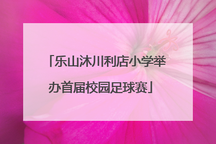 乐山沐川利店小学举办首届校园足球赛