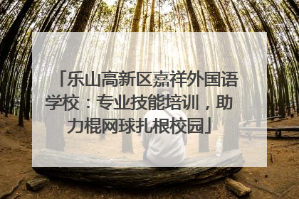 乐山高新区嘉祥外国语学校：专业技能培训，助力棍网球扎根校园