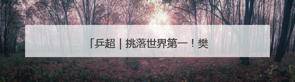 乒超｜挑落世界第一！樊振东3比2战胜林诗栋