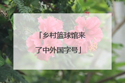 乡村篮球馆来了中外国字号