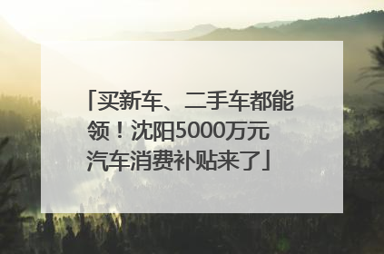 买新车、二手车都能领！沈阳5000万元汽车消费补贴来了