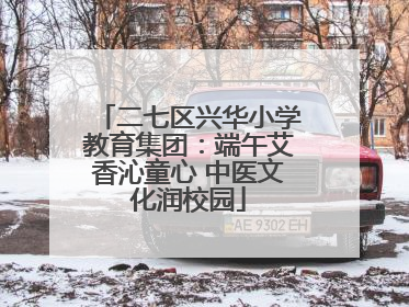 二七区兴华小学教育集团：端午艾香沁童心 中医文化润校园