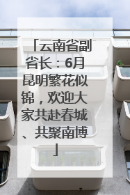 云南省副省长：6月昆明繁花似锦，欢迎大家共赴春城、共聚南博