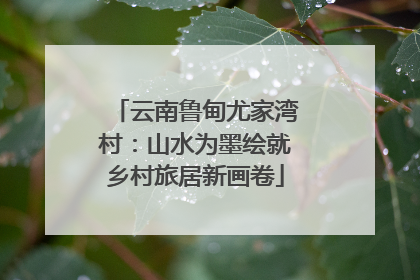 云南鲁甸尤家湾村：山水为墨绘就乡村旅居新画卷