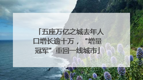 五座万亿之城去年人口增长逾十万，“增量冠军”重回一线城市
