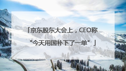 京东股东大会上，CEO称“今天用国补下了一单”