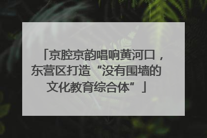 京腔京韵唱响黄河口，东营区打造“没有围墙的文化教育综合体”