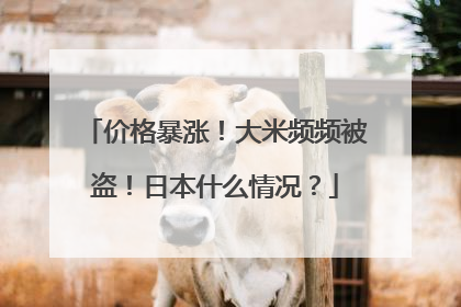 价格暴涨！大米频频被盗！日本什么情况？
