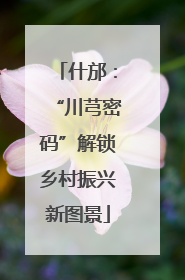 什邡：“川芎密码”解锁乡村振兴新图景