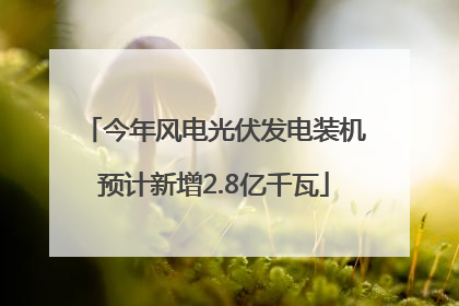 今年风电光伏发电装机预计新增2.8亿千瓦