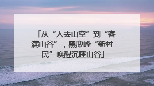 从“人去山空”到“客满山谷”，黑麋峰“新村民”唤醒沉睡山谷