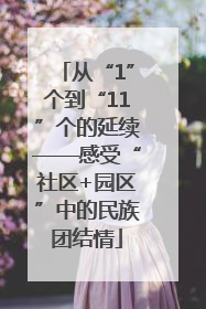 从“1”个到“11”个的延续——感受“社区+园区”中的民族团结情