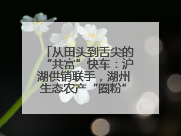 从田头到舌尖的“共富”快车：沪湖供销联手，湖州生态农产“圈粉”大上海