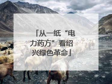 从一纸“电力药方”看绍兴绿色革命