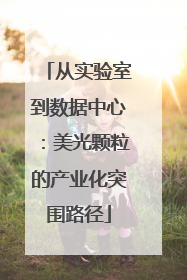 从实验室到数据中心：美光颗粒的产业化突围路径