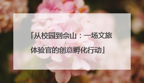 从校园到佘山：一场文旅体验官的创意孵化行动