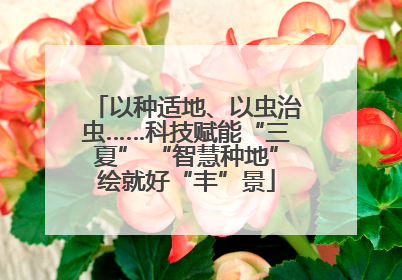 以种适地、以虫治虫……科技赋能“三夏” “智慧种地”绘就好“丰”景