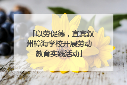 以劳促德，宜宾叙州樟海学校开展劳动教育实践活动