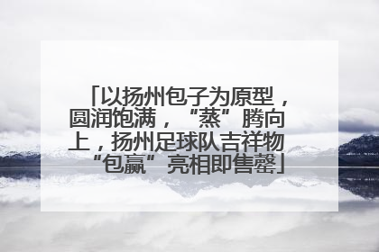 以扬州包子为原型，圆润饱满，“蒸”腾向上，扬州足球队吉祥物“包赢”亮相即售罄