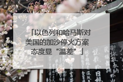 以色列和哈马斯对美国的加沙停火方案态度显“温差”