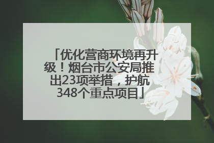 优化营商环境再升级！烟台市公安局推出23项举措，护航348个重点项目